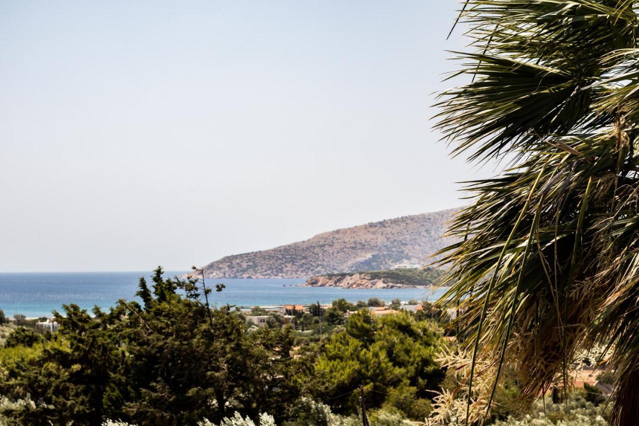 Villa Sounio Sounion Exterior photo
